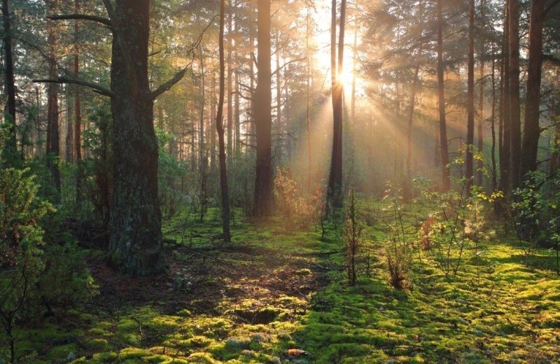 Fahrradroute zum Landgut Baest