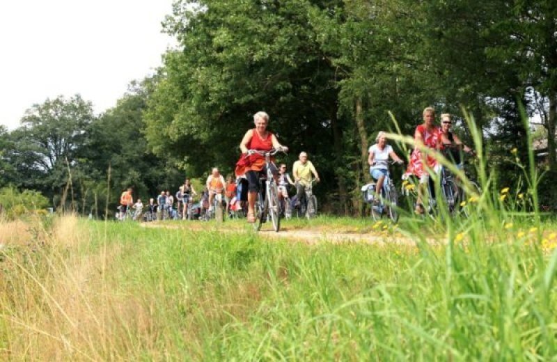 Wanderweg Vessem großer/kleiner See